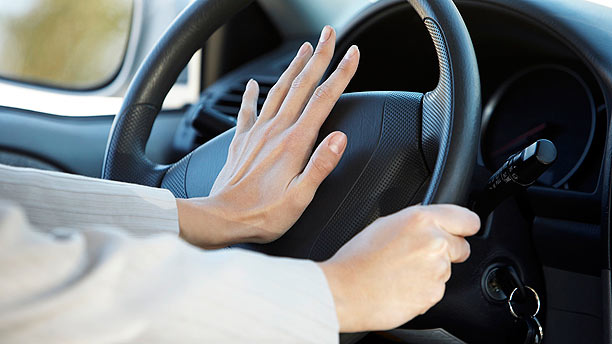 VEHICLE HORNS