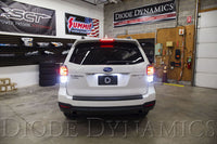 Diode Dynamics Tail as Turn® +Backup Module (USDM) for 2017-2018 Subaru Forester Premium Tail Light Rear Turn Signal Backup Lights
