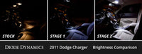Diode Dynamics Interior LED Conversion Kit for 2015-2023 Dodge Charger Diode Dynamics