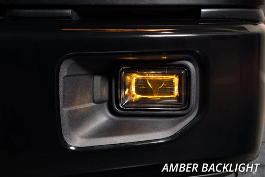 Diode Dynamics Elite Series Type F2 Fog Lamps (pair) for 2015-2020 Ford F150 or 2017-2022 Ford Super Duty Truck