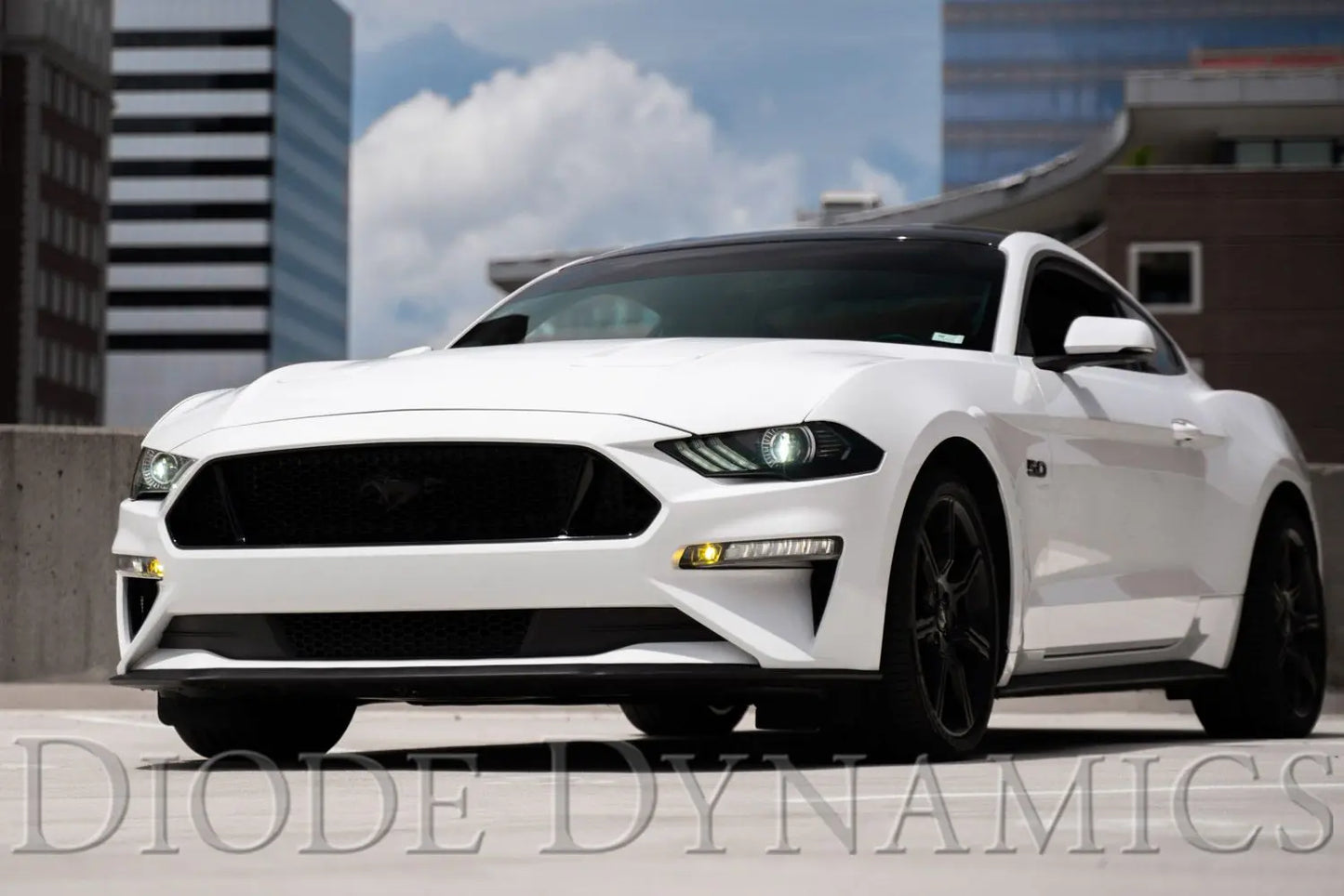 Diode Dynamics Elite Series Combination Fog Lamp for 2018-2023 Ford Mustang (USDM) (pair) Diode Dynamics