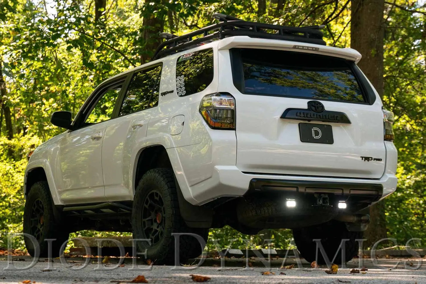 Diode Dynamics Stage Series Reverse Light Kit for 2010-2024 Toyota 4Runner Diode Dynamics