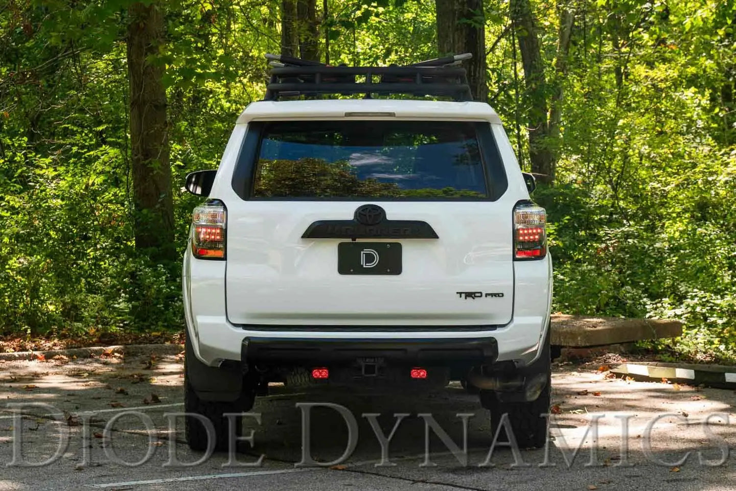 Diode Dynamics Stage Series Reverse Light Kit for 2010-2024 Toyota 4Runner Diode Dynamics