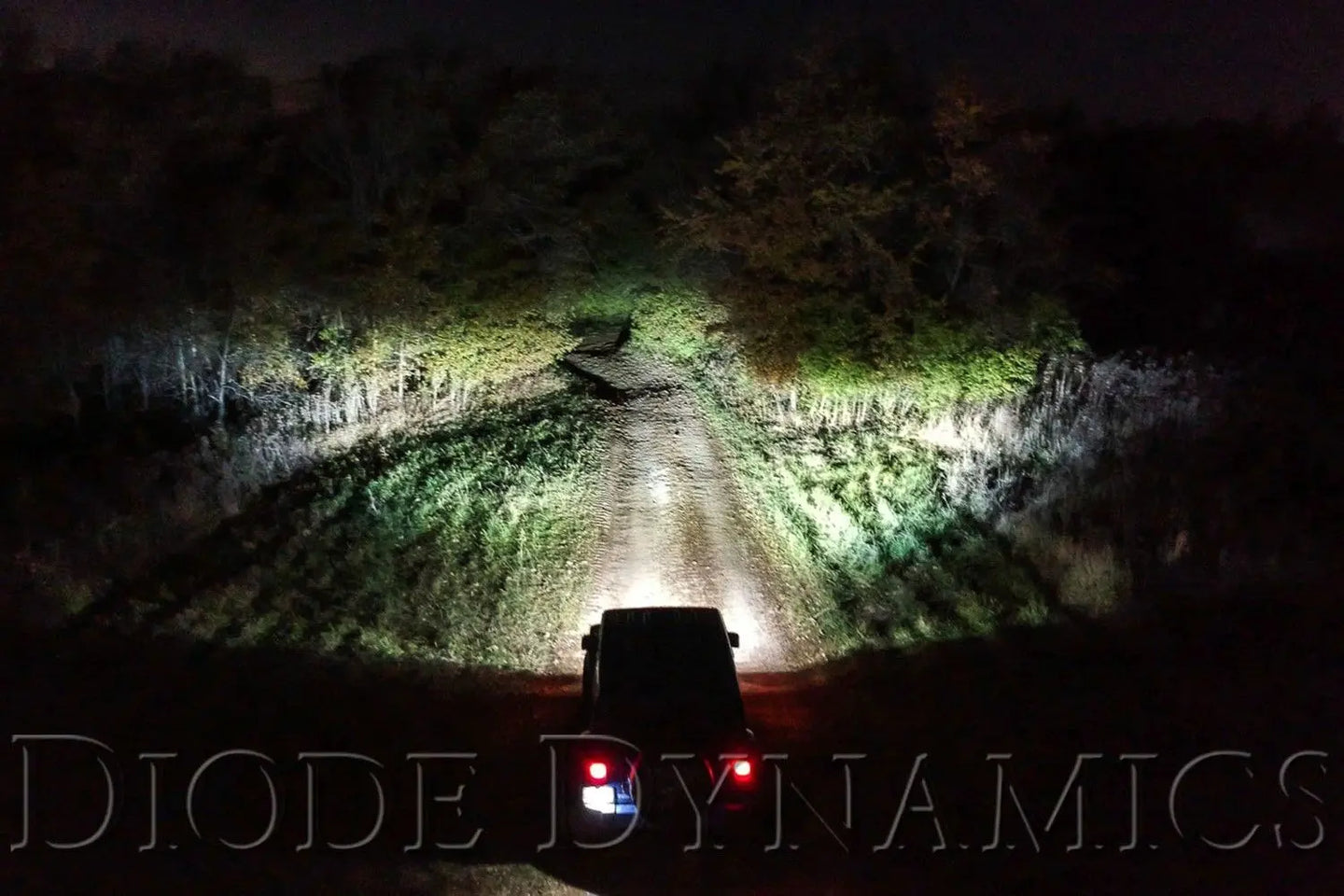 Diode Dynamics SS3 SAE Type SD Fog Light Kit Diode Dynamics